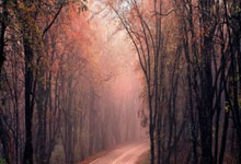 爱游戏娱乐-逆流而上的破局智慧：当强大对手成为你的成长阶梯