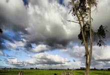 爱游戏入口-阿尔希拉尔进攻端火力强劲,欲破鹿岛鹿角防线