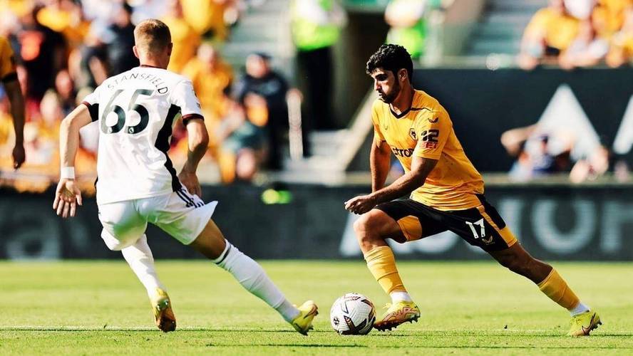 包含狼队球员伤患不断,保级形势不妙的词条 包含狼队球员伤患不断,保级形势不妙的词条