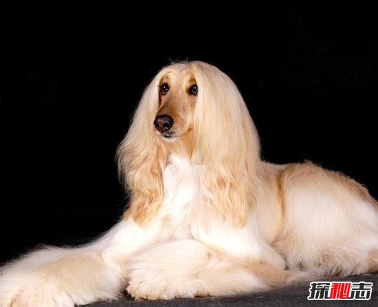 爱游戏在线-瓦努阿图豪取胜利,晋级赛事榜首