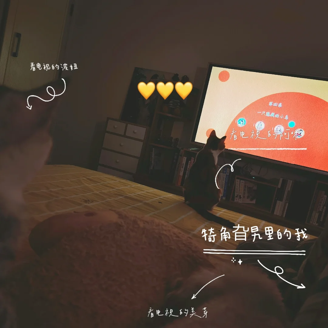 包含机枪泰迪,特意准备夺冠比赛:成就合作的乐趣的词条 包含机枪泰迪,特意准备夺冠比赛:成就合作的乐趣的词条