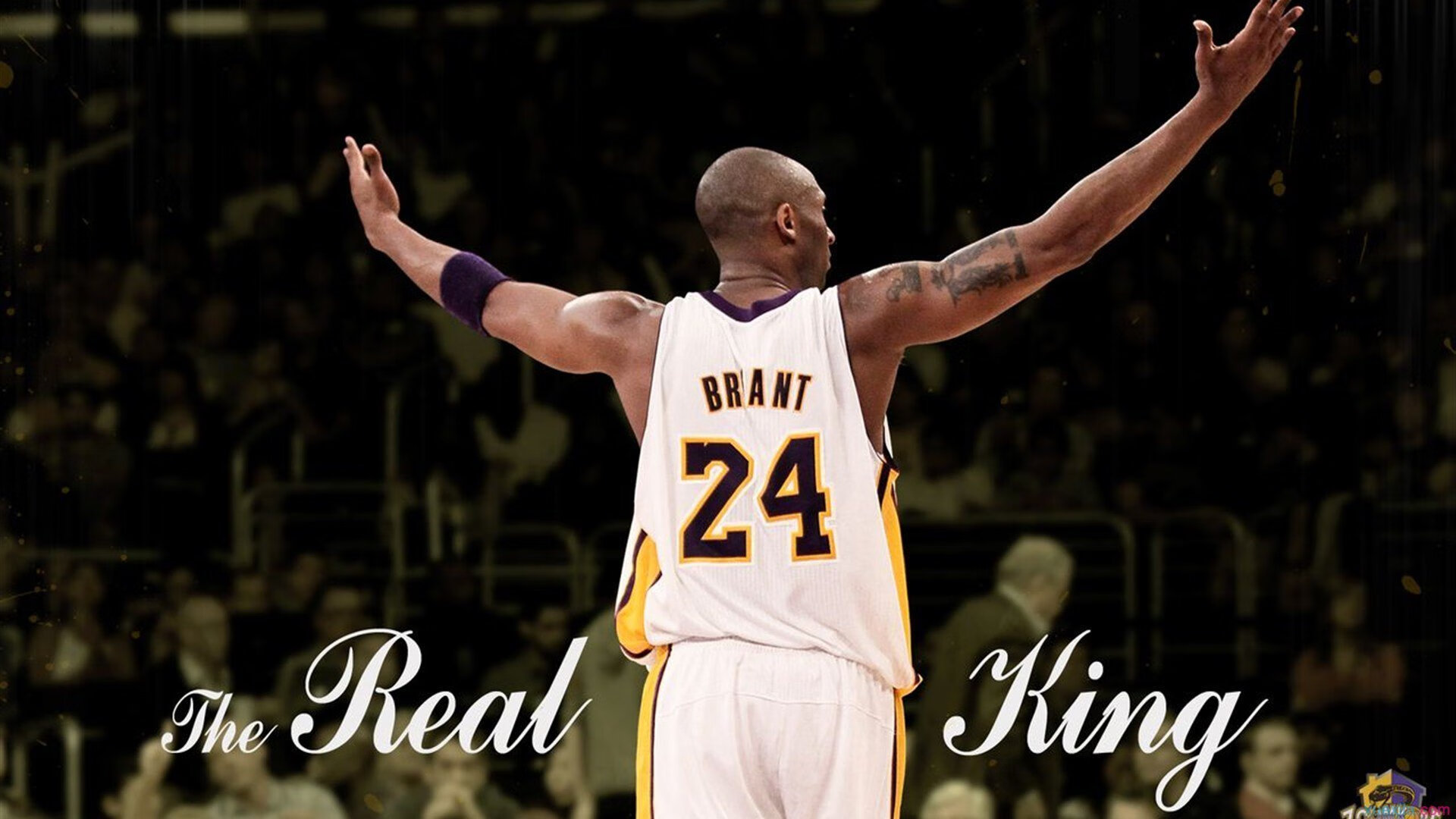 爱游戏tv-若日尼奥的美洲幻影，一场改写历史的虚构对决