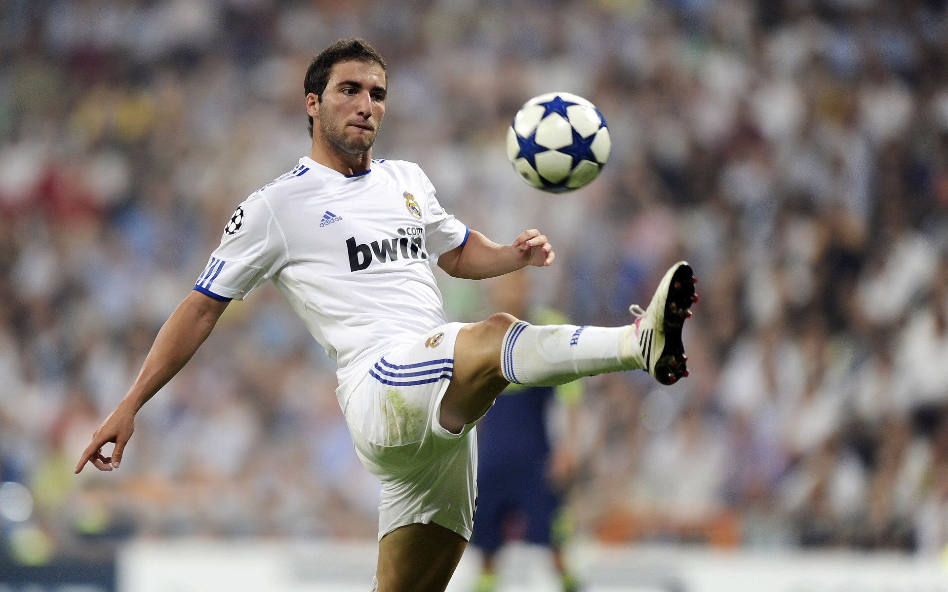 巧合背后，唯一性的残酷与必然