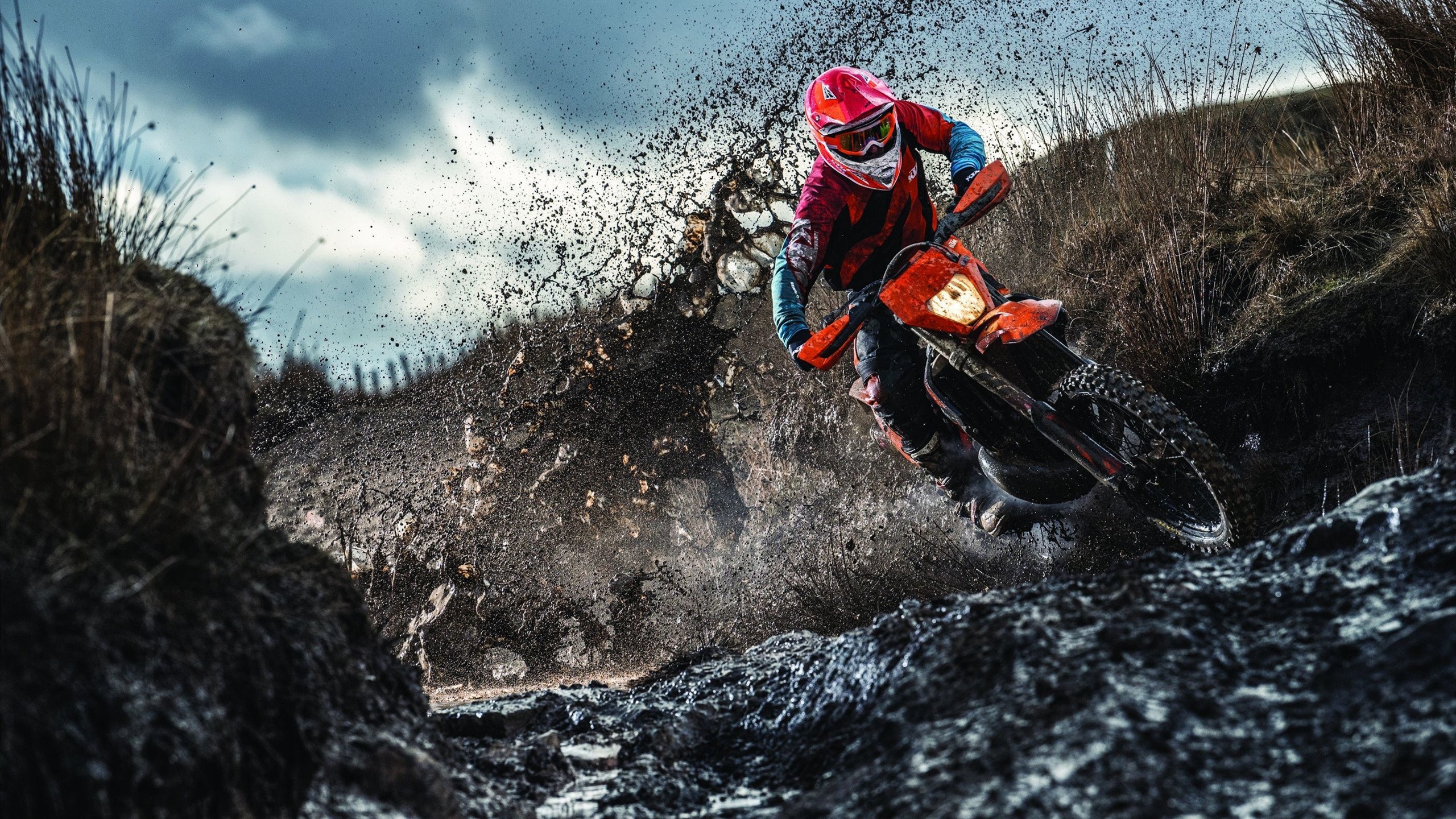 门被关上，又被陈雨菲一脚踹开